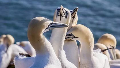 -中外足球青训合作项目启动，培养人才，中国足协在国外有青训基地吗